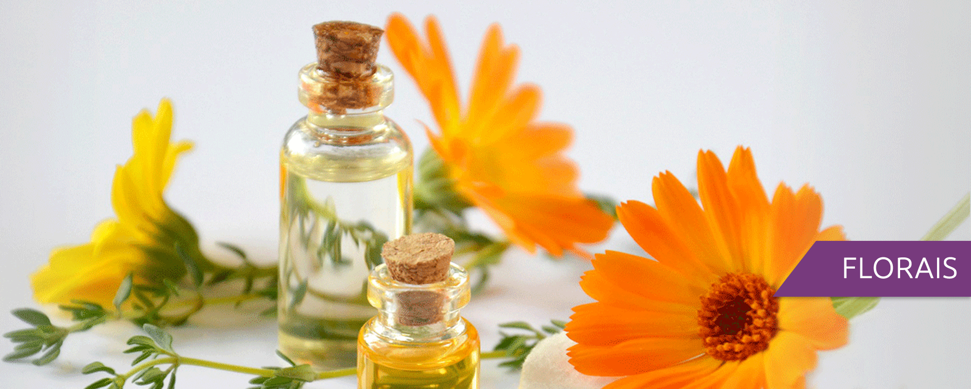 Imagem com ingredientes representando o serviços de florais